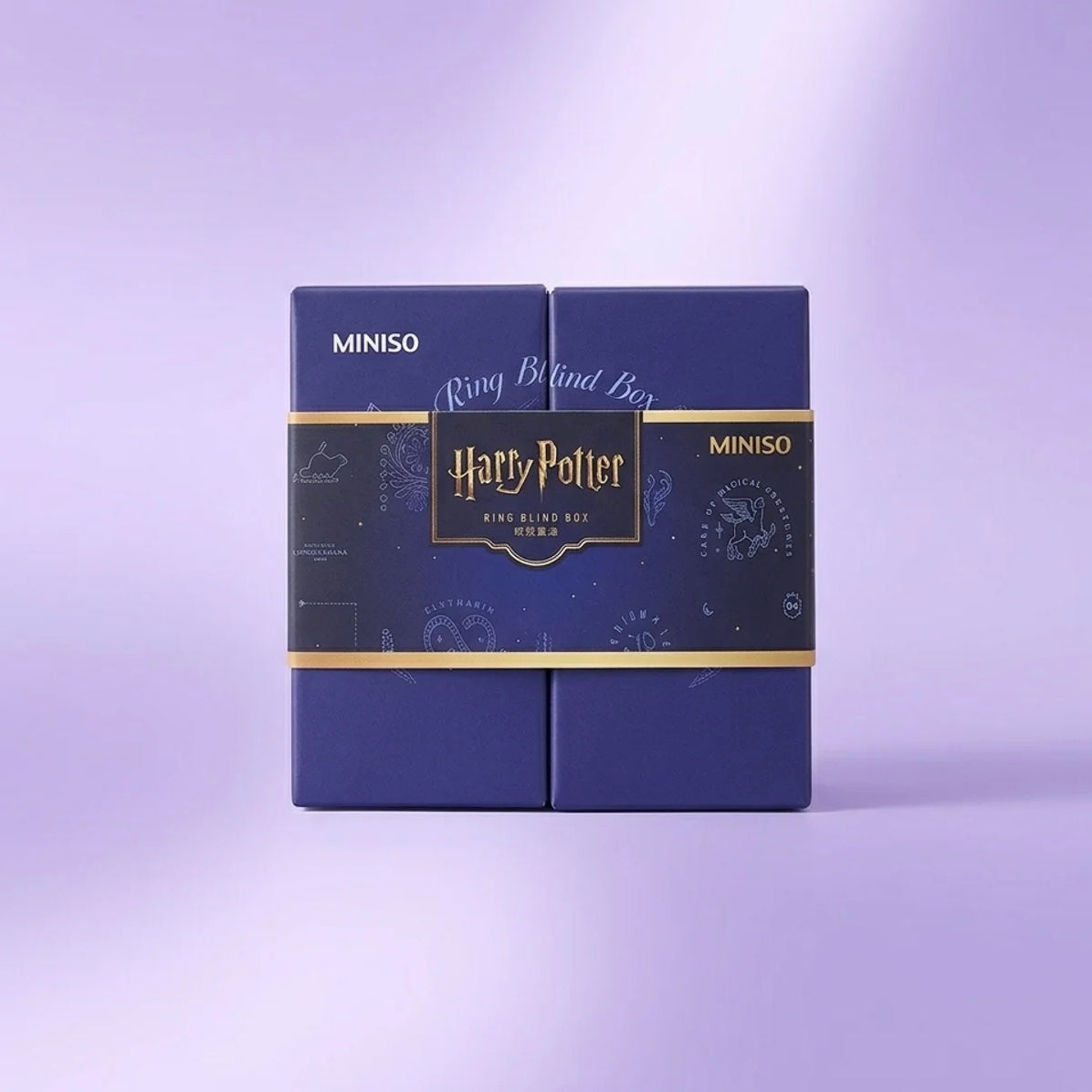 Harry Potter: Ring Blind Box Series